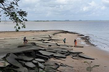 Fossil Shell Beach