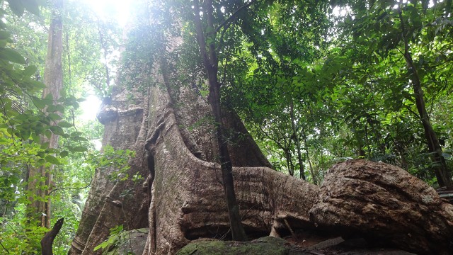 Huay Toh Waterfall 6