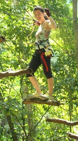 Tree Top Adventure Park